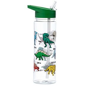 Gourde en Plastique Renforcé SK Ecozen (Gourde) 550ml Dinosauria - Dinosaure