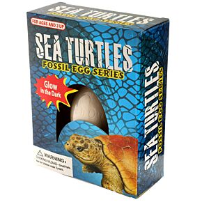 Kit de Fouille qui Brille dans le Noir - Tortue de Mer